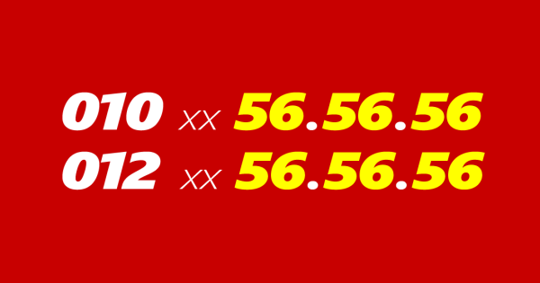 01070565656-01202565656